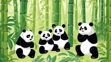 Panda Pali bambuszerdeje